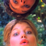 The Autobiography of a Flea main